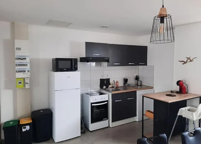 Mouettes Et Chouettes Saint-Hilaire-Petitville