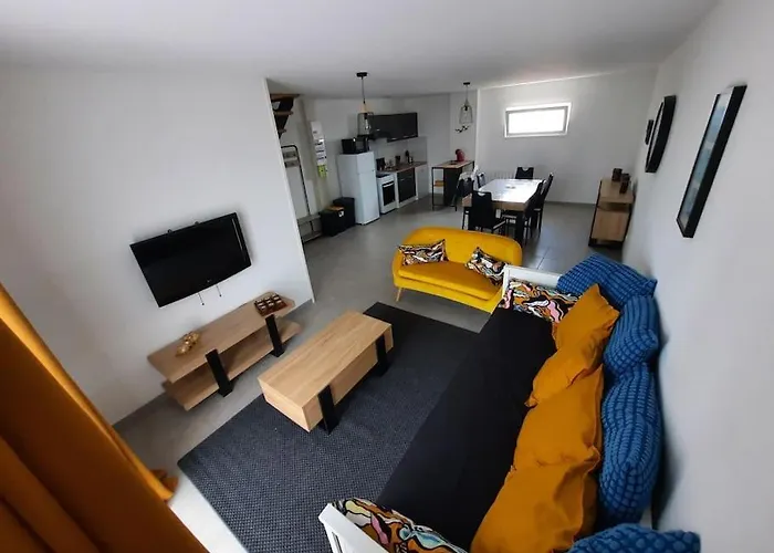 Mouettes Et Chouettes